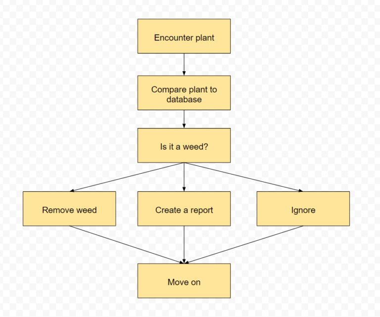 action map - Technovation Girls