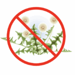 dandelion with a circle and line across it