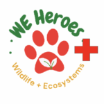 we heroes plus logo