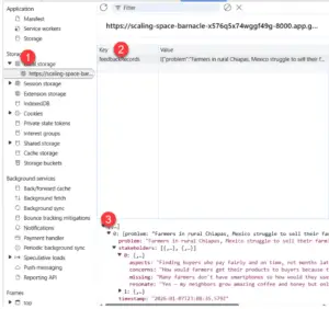 local storage view in developer tools